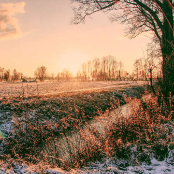 Spreewaldgeflüster im Winter