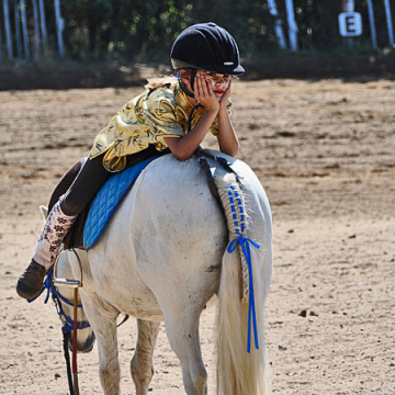 Reiten