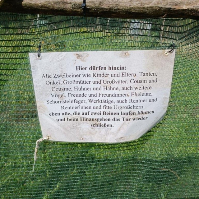 Essbare Wildpflanzen am Hang der Bärenbrücker Höhe im Erlebnispark Teichland
